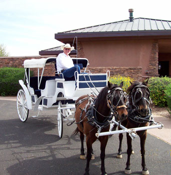 carriage rides