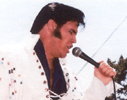 elvis