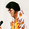 elvis